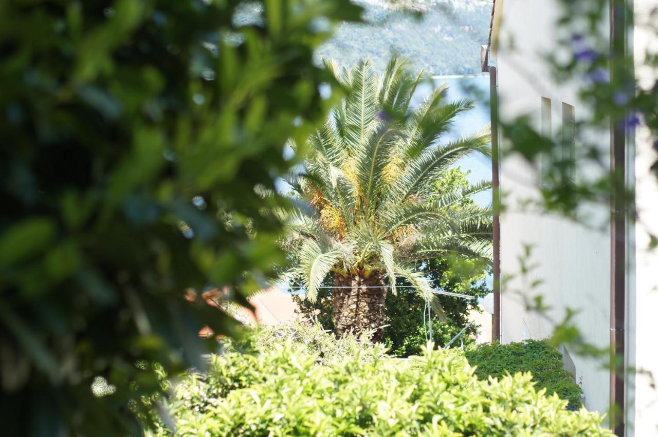 Oasis Blue Korcula Town Exterior foto